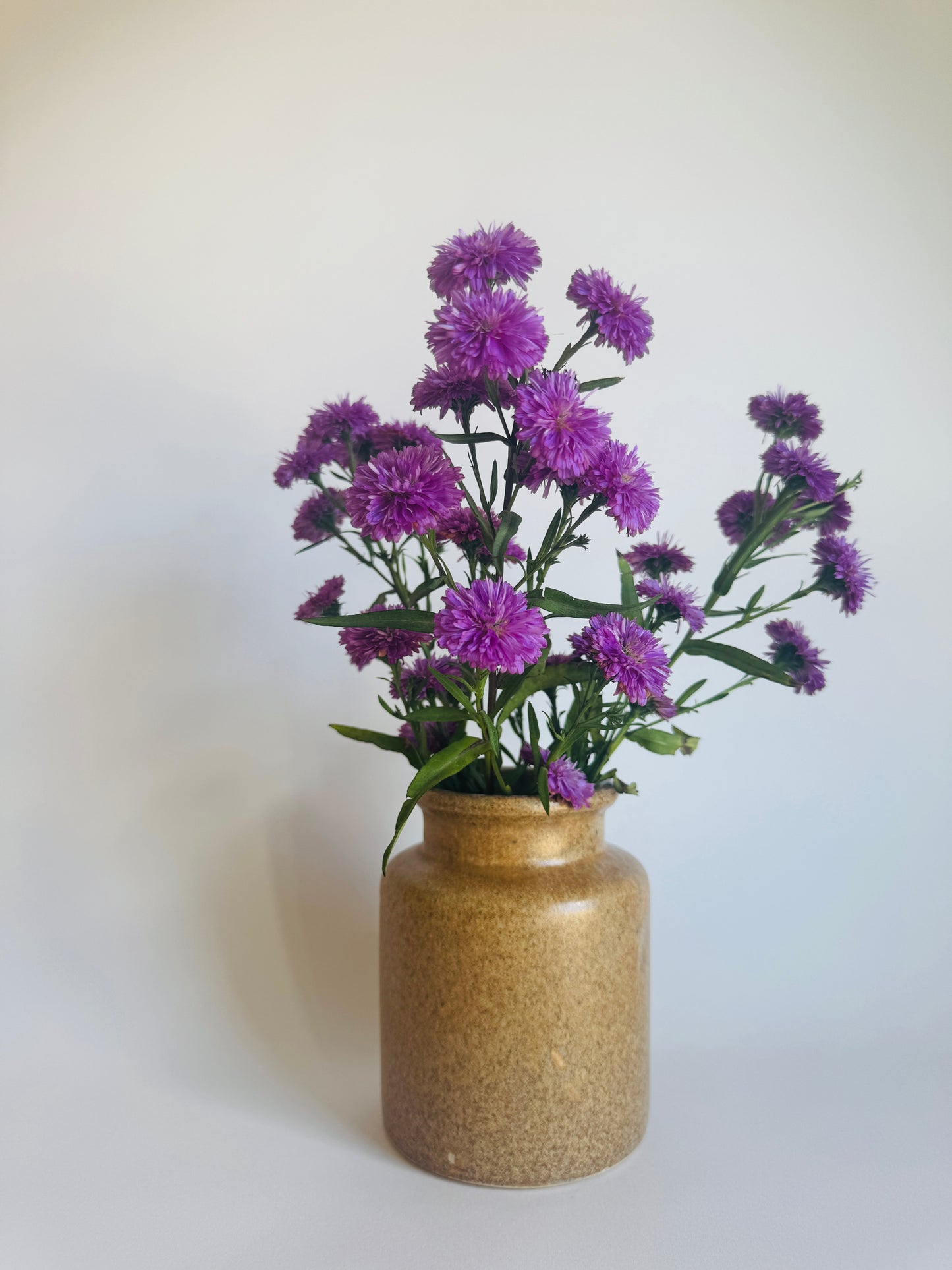 Vintage French Stoneware Crock