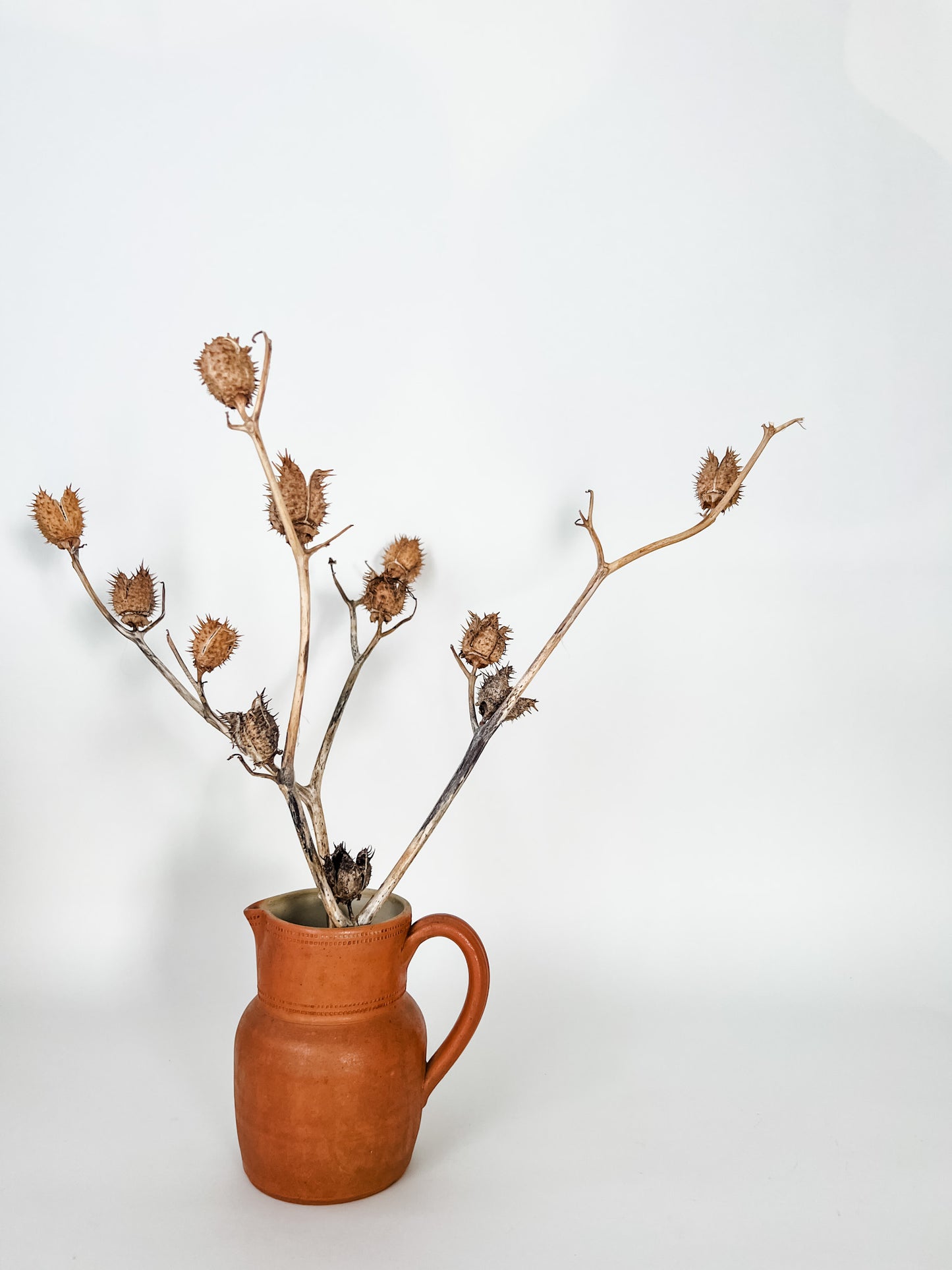 Small Light Brown Pitcher