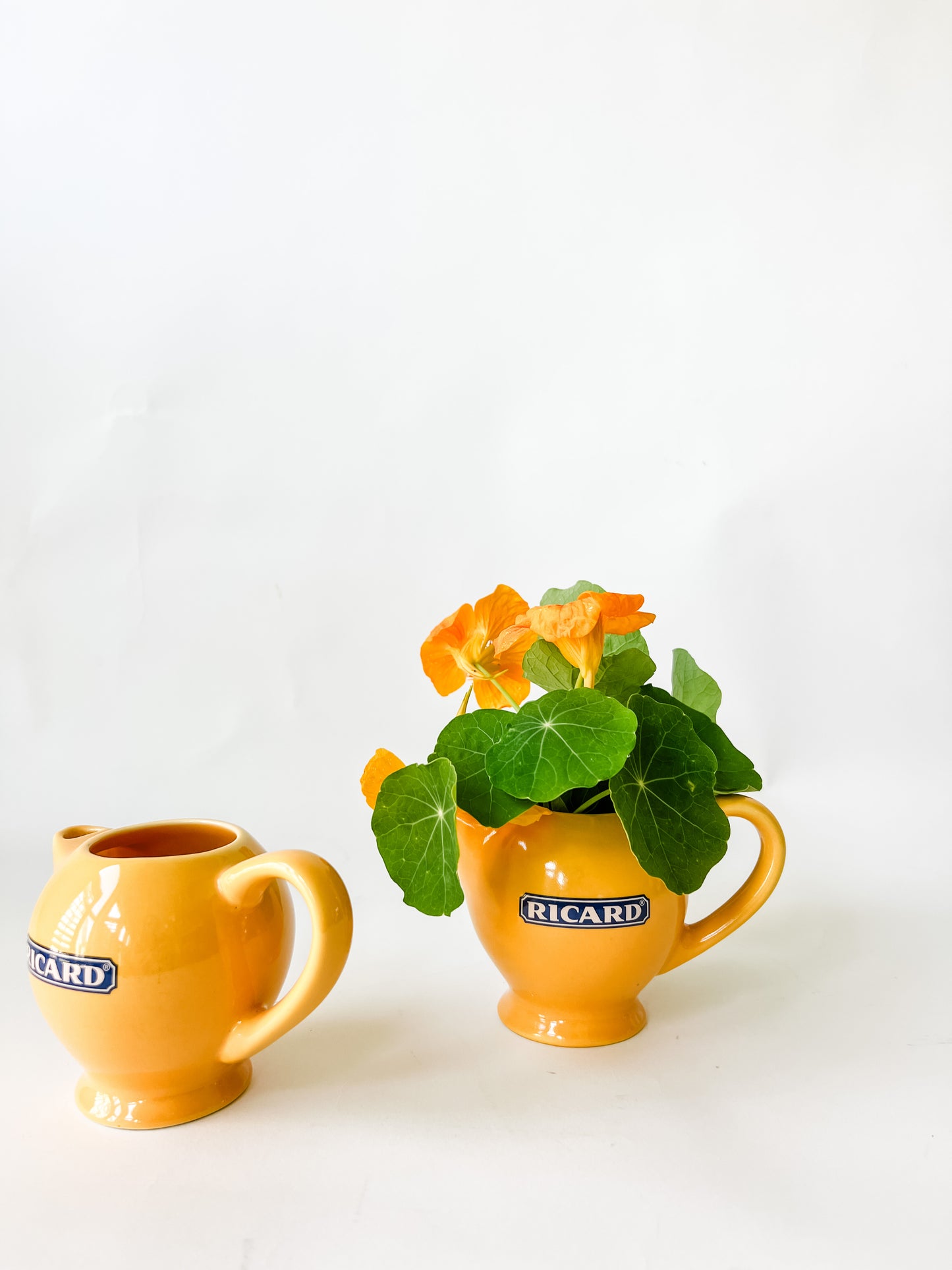 Vintage French Ricard Pitcher (Yellow or Blue)