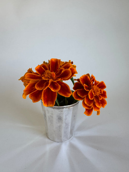 Small Christofle Silver Christening Cup