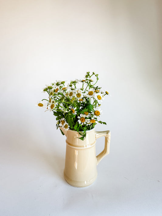 Small French Porcelain Pitcher